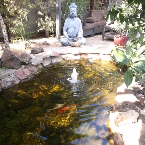 Buda en el estanque