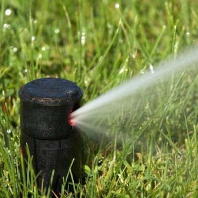 Reducir consumo de agua en el jardín